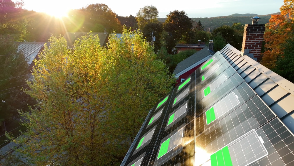 A row of solar panels on a sloped rooftop reflects sunlight, with glowing battery icons and a “Government Grants” overlay. Trees and houses are visible in the background at sunset.