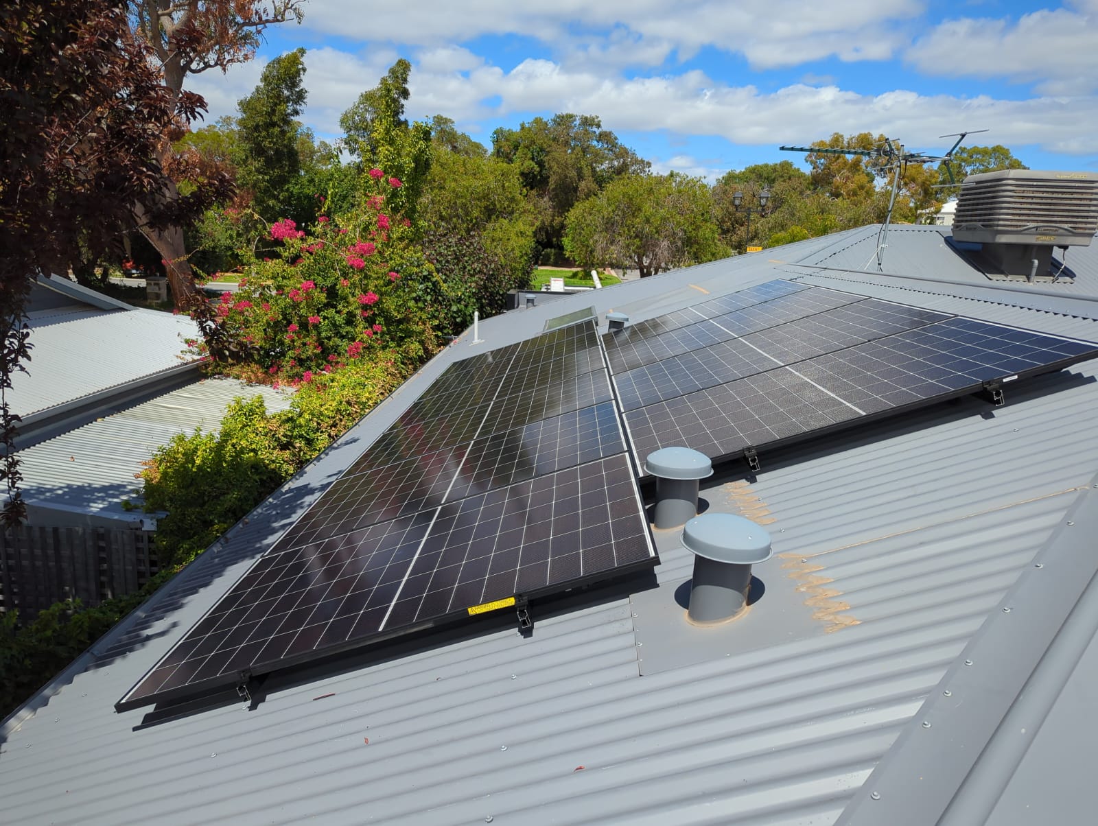 Solar panels on a Daglish home with flowering garden