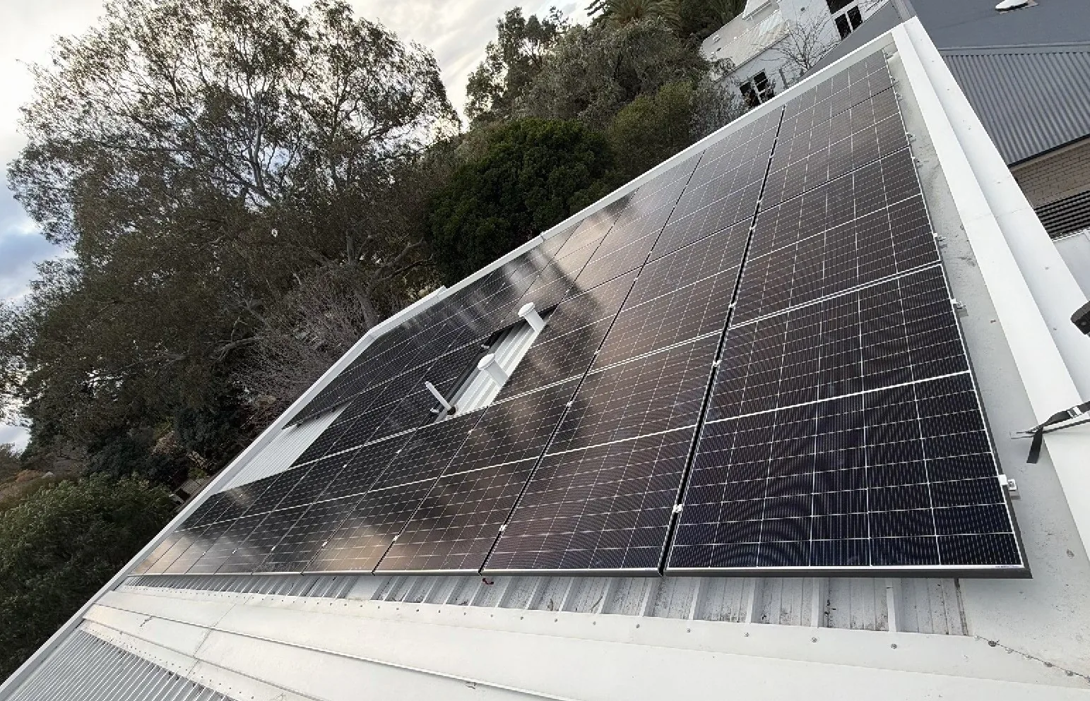 36 Trina solar panels on a metal roof beside a large tree canopy in Cottesloe