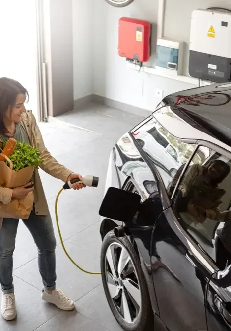 Battery System with Car Plugin Red
